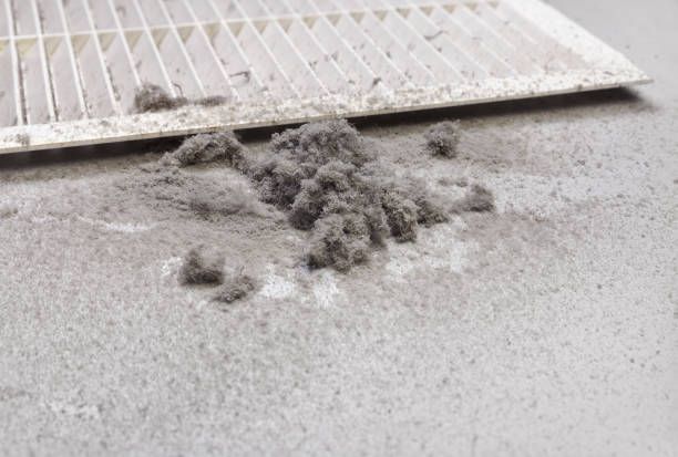 Best Residential Air Duct Cleaning  in Ellisville, MS