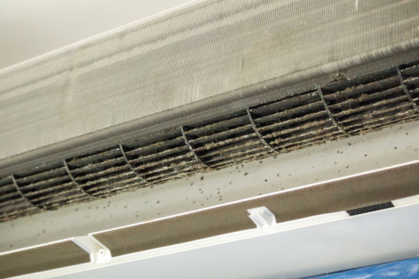 Best Air Duct Cleaning Company Near Me  in Ellisville, MS